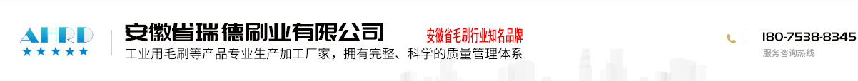 安徽省瑞德刷业有限公司